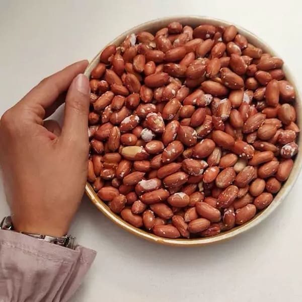 تصویر 2 از قیمت خرید بادام زمینی شور عمده به صرفه و ارزان